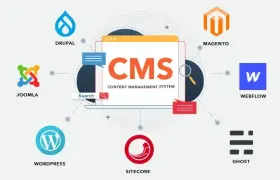 Why Businesses Need a CMS Website for Online Growth