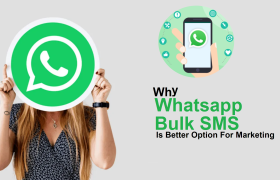 Unlock the Power of Bulk WhatsApp Marketing in Hisar Today!