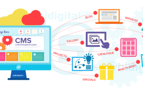 CMS Development Course in Hisar – Master Website Management & Build Dynamic Websites