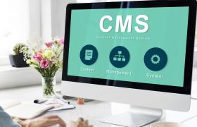 A Guide to Leveraging Your Content Management System