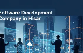 What Should You Look for in a Software Development Company in Hisar?